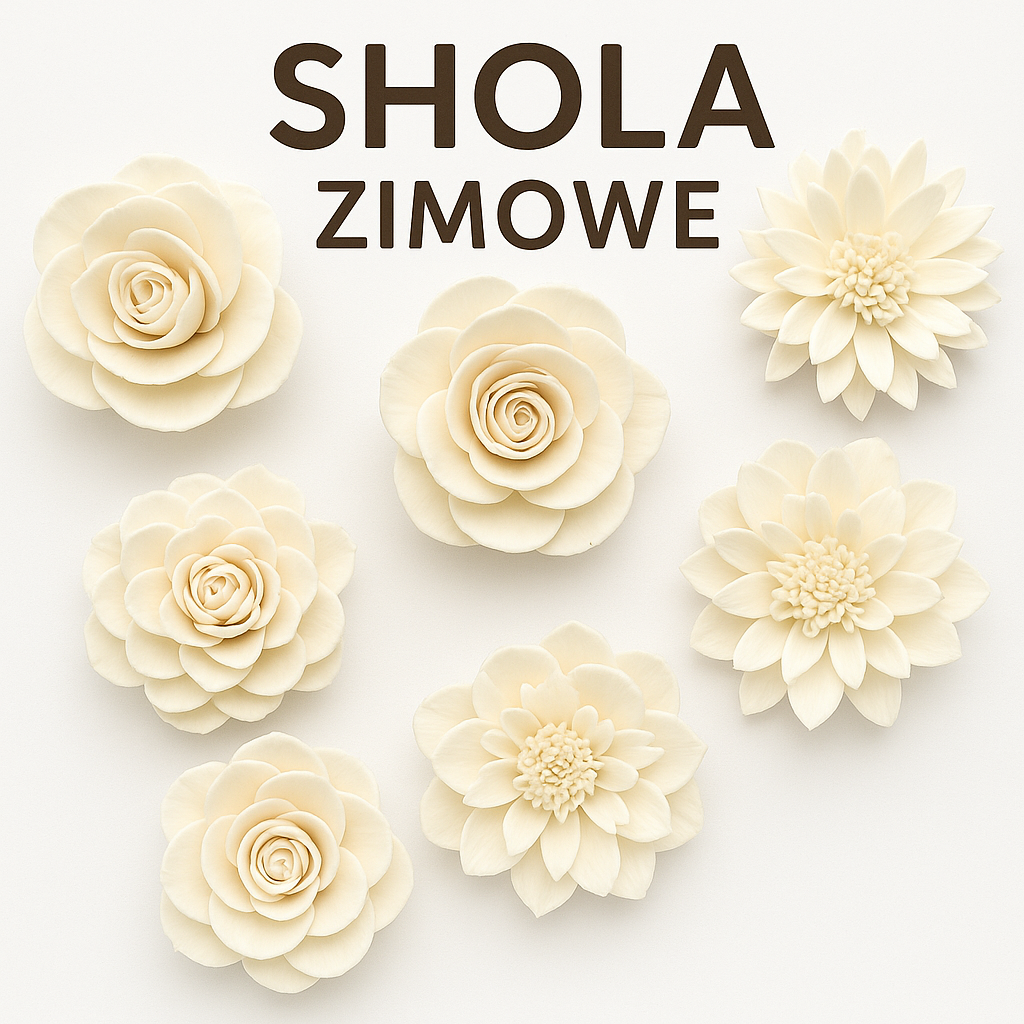 suszone kwiaty do diy, kwiaty shola