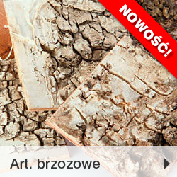 Artykuły brzozowe kora brzozy