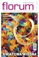 FLORUM 80