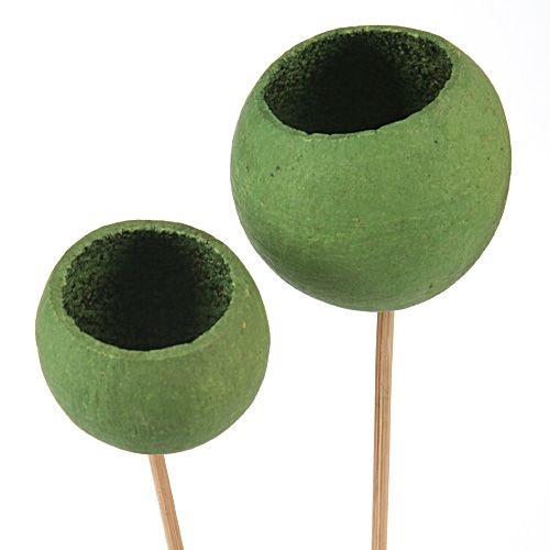 Suszone rośliny do kompozycji Bukiet zielonych bell cup 3 szt./op.