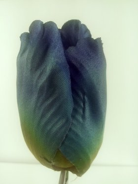 Tulipan główki 8 cm 6 szt niebieski