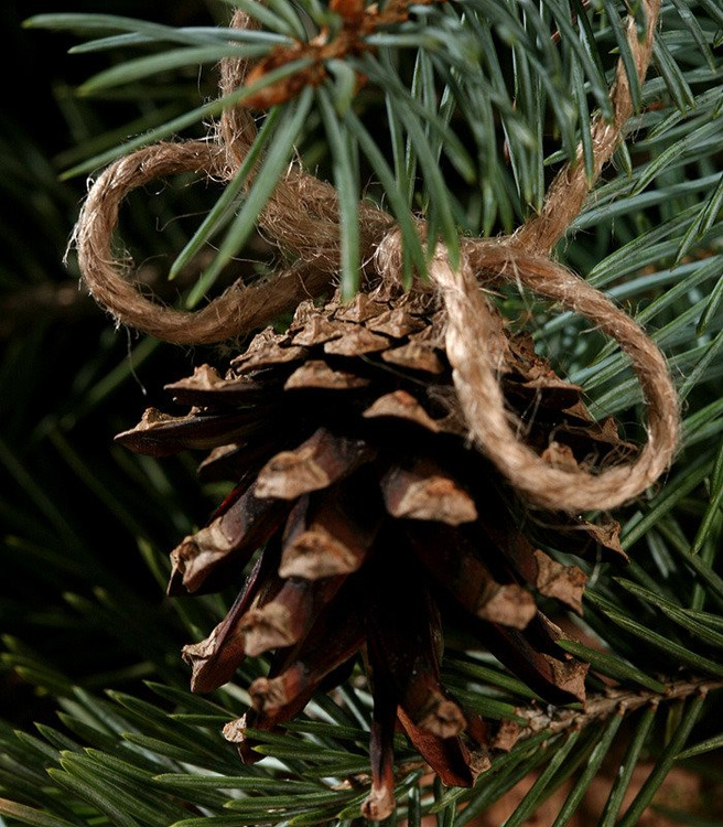  Zawieszki z naturalnych szyszek – 6 szt.