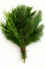 Naturalne gałązki iglaste GrandDeco 20–25 cm – zieleń do dekoracji, stroików, bukietów i wieńców