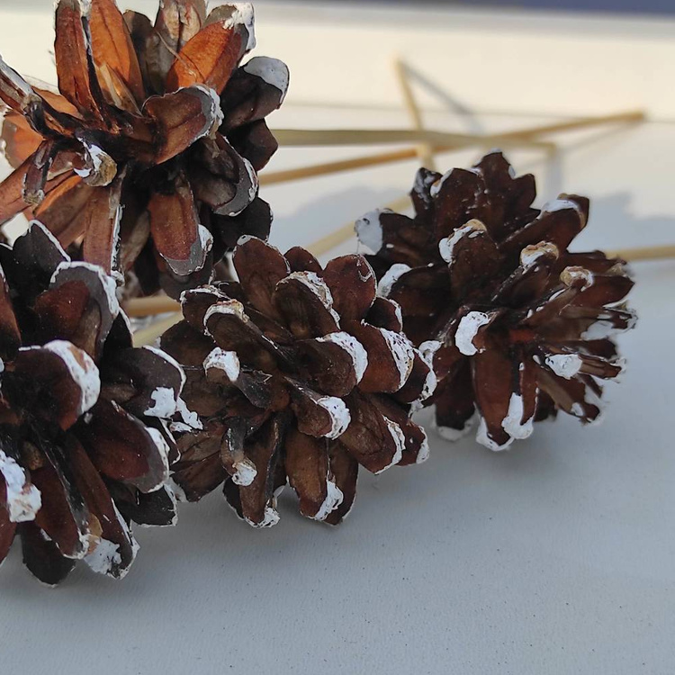 Dekoracje do świątecznych stroików Szyszki na drewnianym piku ręcznie malowane 6 szt/op