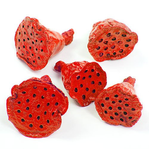 Lotos mini jasnoczerwony 12 szt./op.