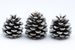 Ośnieżone Szyszki 10–12 cm (Zestaw 3 szt.)