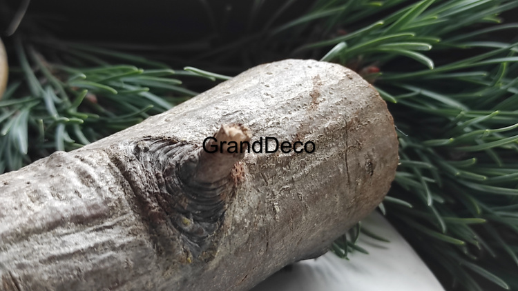 Dębowe polano średnica 3- 5 cm, długość 30 cm