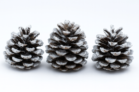 Ośnieżone Szyszki 10–12 cm (Zestaw 3 szt.)