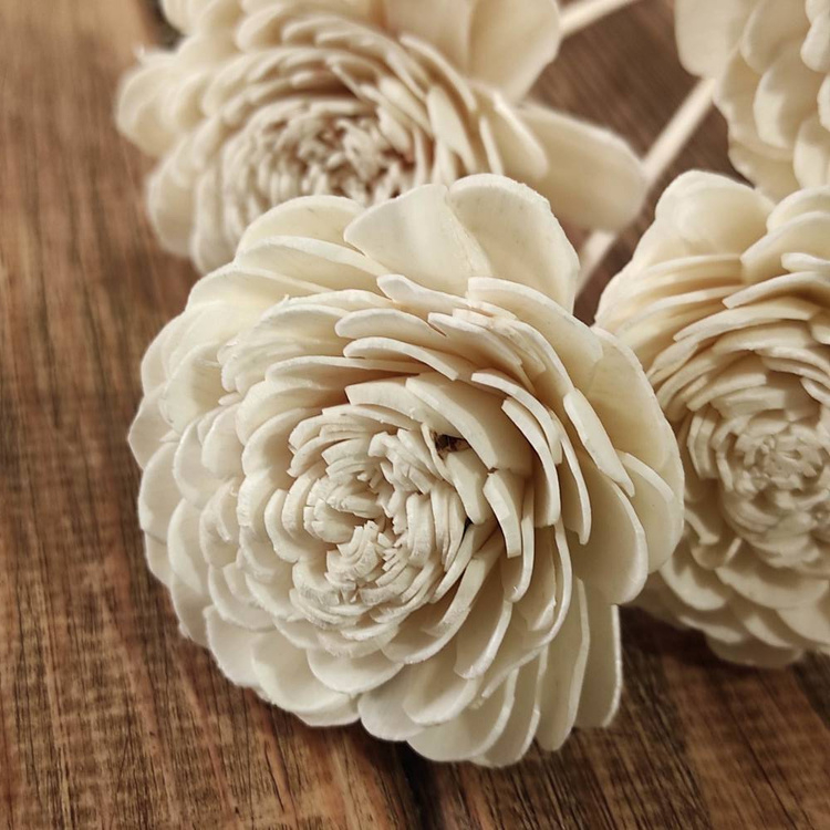 Kwiaty Shola na Drewnianym Piku 20 cm – Zestaw 6 szt. | Kolekcja GrandDeco | Główka 6 cm