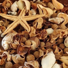 Dekoracje wakacyjne do naczynia