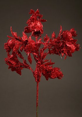 RÓŻA CZERWONA DZIKA 30cm CENA ZA OPAKOWANIE 3 szt