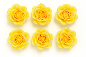 Oszronione główki róż żółtych 12 cm – 6 szt. Dekoracje premium GrandDeco