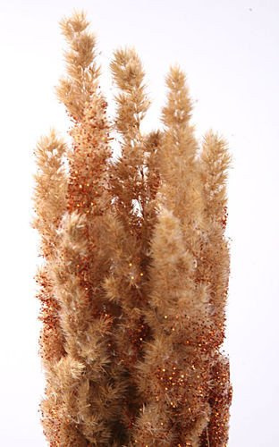 Trawy dekoracyjne w stylu glamour