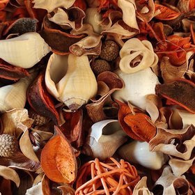 Suszone rośliny Potpourri Lato 2025