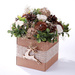 Kwiaty Shola 240 szt  Mix 10 kolorów | Dekoracyjne pudełko 20x20x10 cm 