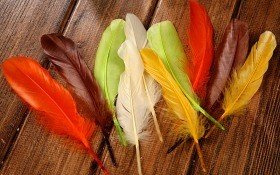 Pióra dekoracyjne wielokolorowe 19 cm mix   CENA ZA OPAKOWANIE 10 szt.