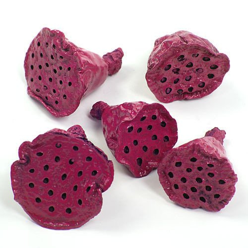 Lotos mini lakier fuksja 12 szt./op.