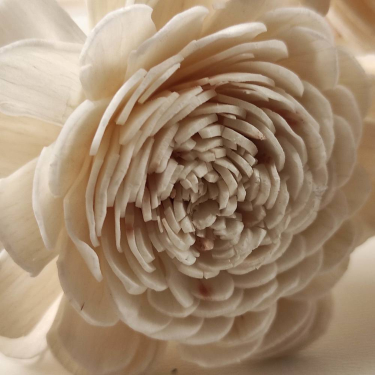 Kwiaty Shola na Drewnianym Piku 20 cm – Zestaw 6 szt. | Kolekcja GrandDeco | Główka 6 cm