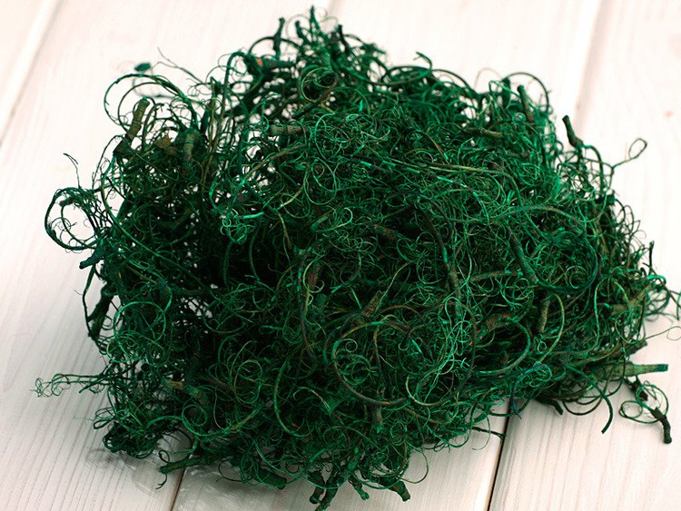 Mech kręcony egzotyczny – 30 g | Ciemna zieleń | Dekoracja florystyczna