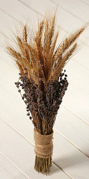 Zboże suszone owies dekoracyjne naturalne 60-70 cm 24 szt/op