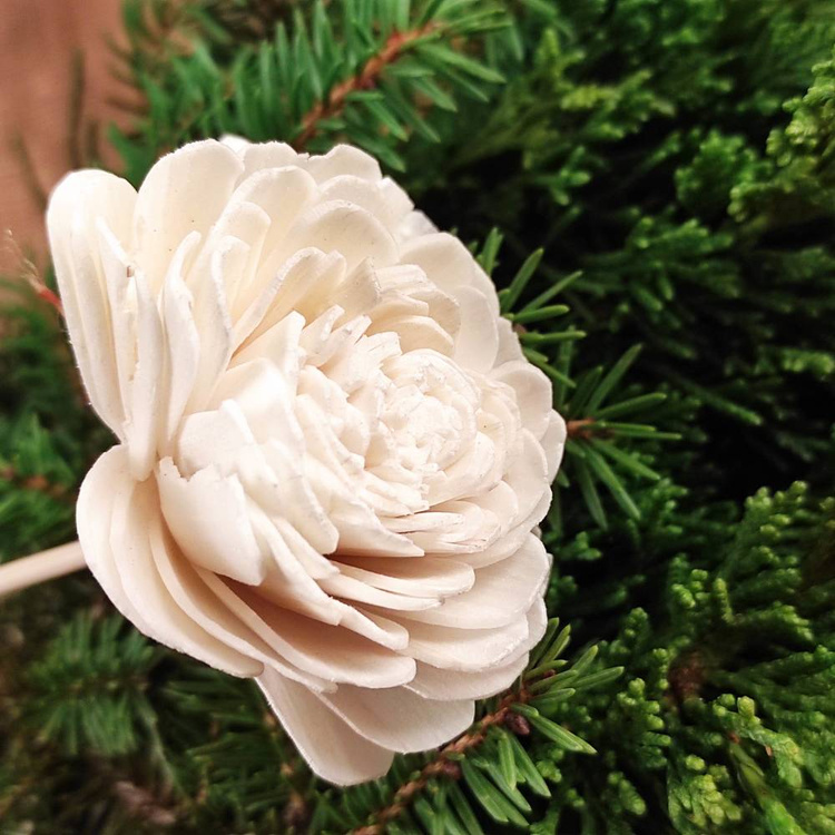 Kwiaty Shola na Drewnianym Piku 20 cm – Zestaw 6 szt. | Kolekcja GrandDeco | Główka 6 cm