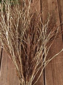 Gałązki do dekoracji złoto-brązowe 30 cm