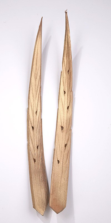 Gałązki dekoracyjne Rambuttam złote – komplet 2 sztuki (35 cm)