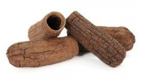 Suszona roślina ozdobna łupina Seru grosso  natural 15-20 cm
