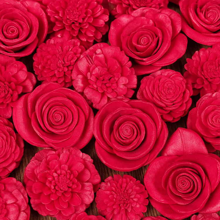 Kwiaty shola naturalne 60 szt. (2–6 cm) – kolekcja GrandDeco