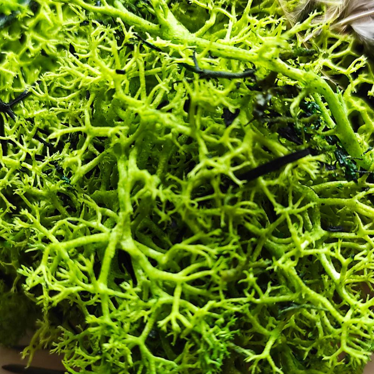 Wielkanocne figurki Zawieszki jajka, mech, pióra do ozdabiania 85 mm CENA ZA OPAKOWANIE 3 szt