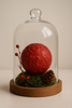 Elegancki Zestaw Świąteczny z Czerwoną Kulą 7 cm – „Klasyka i Natura”
