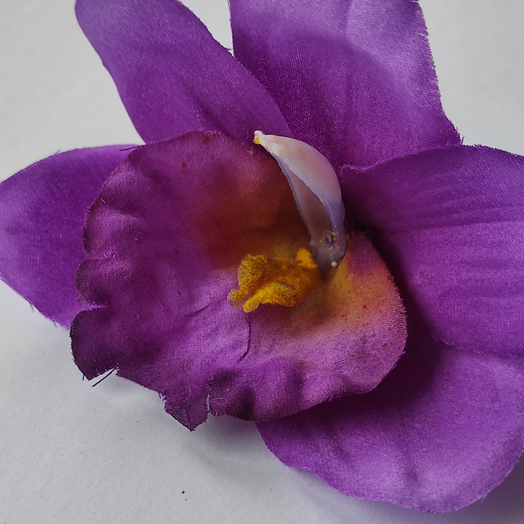 Storczyki główki ciemnofioletowe średnica 12 cm 4 szt