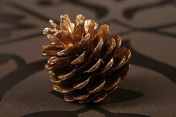 Złote szyszki dekoracyjne 12 szt. | Ozdoba świąteczna 4–6 cm | Naturalne szyszki do stroików, wieńców i DIY