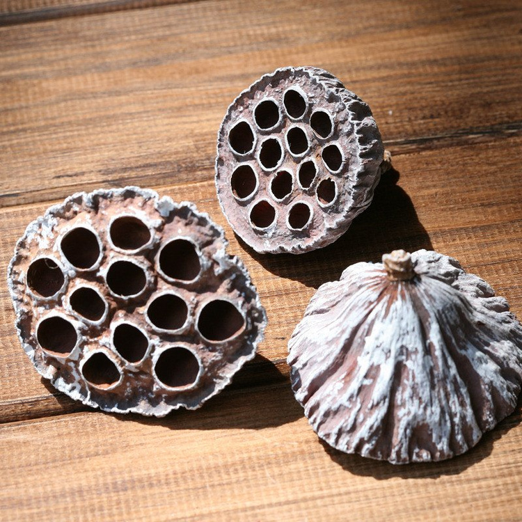 Lotos Przecierany na Biało – Naturalna Dekoracja do Stroików, Naczyń i Aranżacji Zimowych