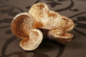 Badam złoty  8-10 cm komplet 4 szt