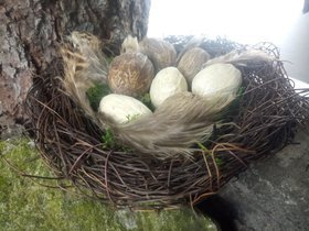 Gniazdko z piórami i jajeczkami 12-15 cm