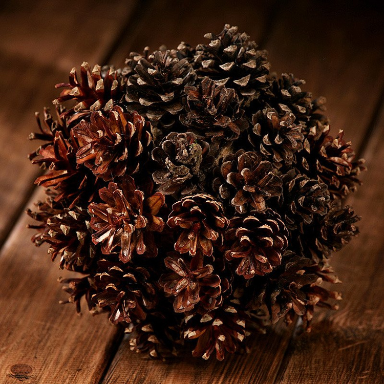 Kula Szyszki  16-20 cm