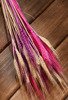 Bukiet suszone trawy ozdobne zboże dekoracyjne naturalno-różowo-fioletowy